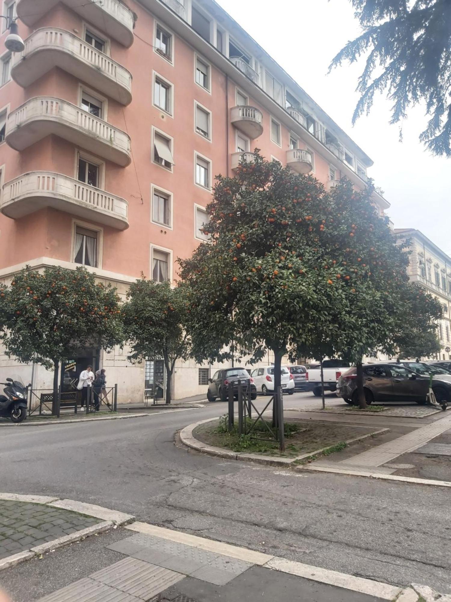 Holiday Colosseum Rome Bed & Breakfast Dış mekan fotoğraf